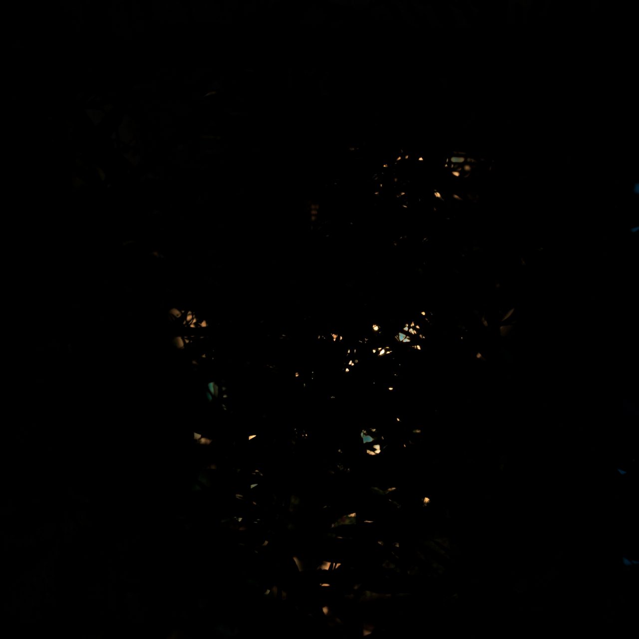  Paolo Parma, Beyond Light fine art photograph exploring silence and darkness in the countryside. 